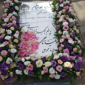 تصویر گالری