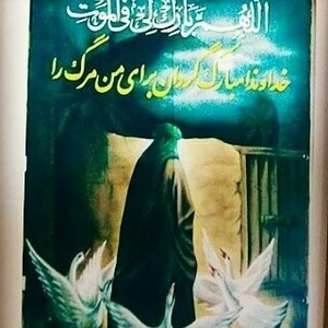 تصویر گالری