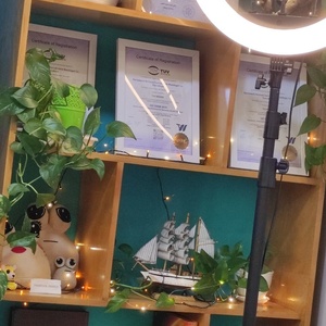 تصویر گالری