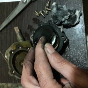 تصویر گالری