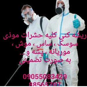 تصویر گالری