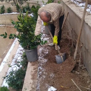 تصویر گالری