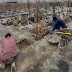 تصویر گالری