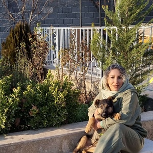 تصویر گالری