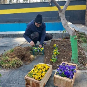 تصویر گالری