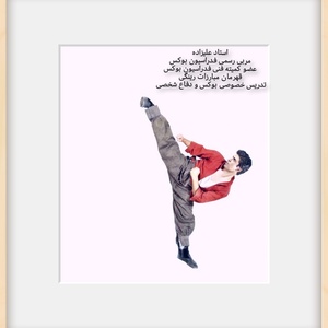 تصویر گالری