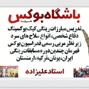 تصویر گالری