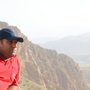 تصویر گالری