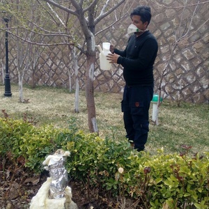 تصویر گالری