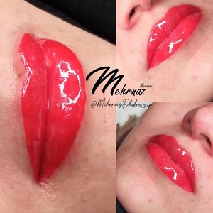 تصویر گالری