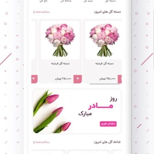 تصویر گالری