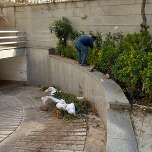 تصویر گالری