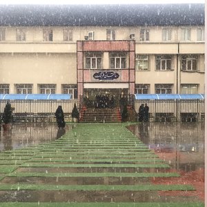 تصویر گالری