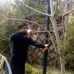 تصویر گالری