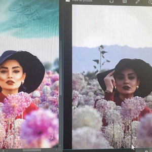 تصویر گالری