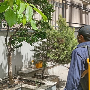 تصویر گالری