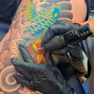 تصویر گالری