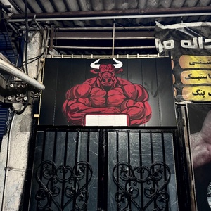 تصویر گالری