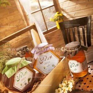 تصویر گالری