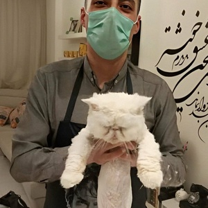 تصویر گالری