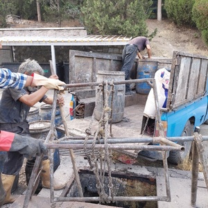 تصویر گالری