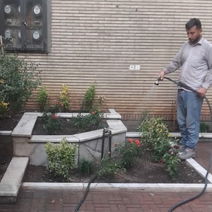 تصویر گالری