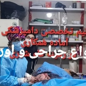 تصویر گالری