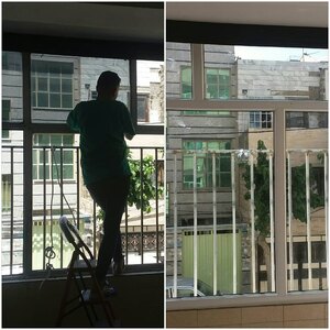 تصویر گالری