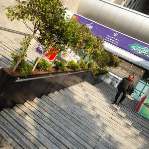 تصویر گالری