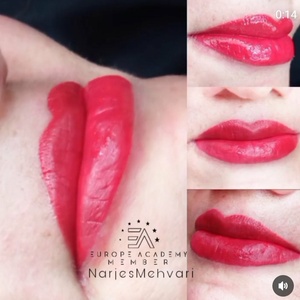 تصویر گالری