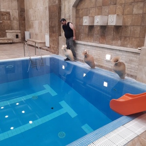 تصویر گالری