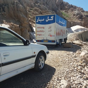 تصویر گالری