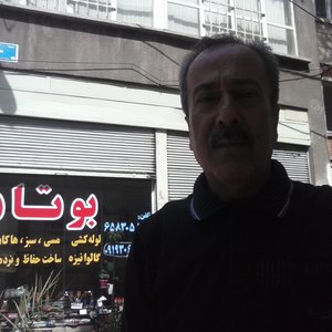 تصویر گالری
