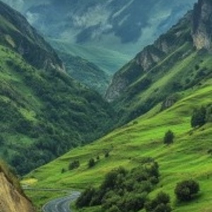 تصویر گالری