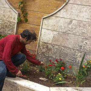 تصویر گالری