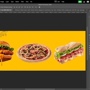 تصویر گالری