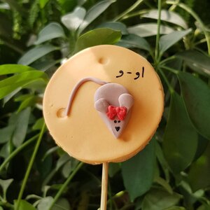 تصویر گالری