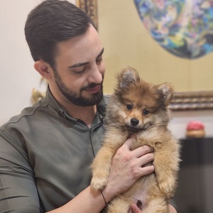 تصویر گالری