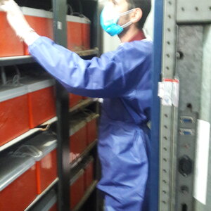 تصویر گالری