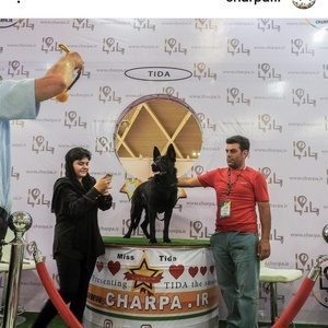 تصویر گالری