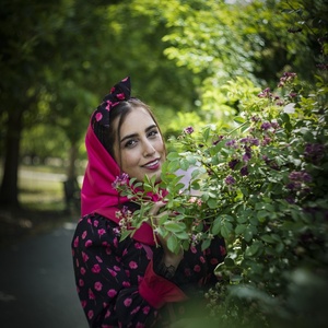 تصویر گالری