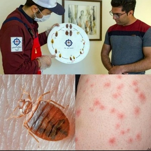 تصویر گالری