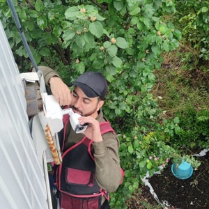 تصویر گالری