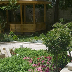 تصویر گالری