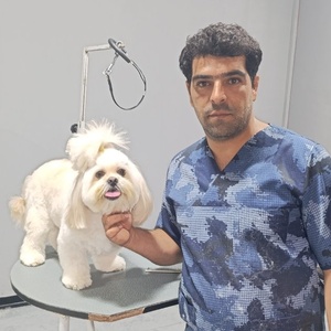 تصویر گالری