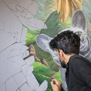 تصویر گالری