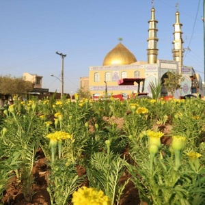 تصویر گالری