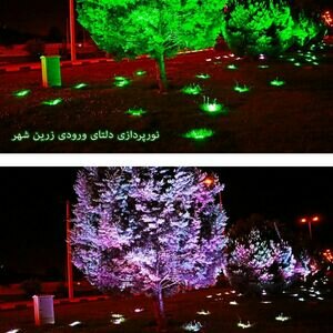 تصویر گالری