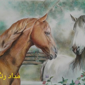 تصویر گالری