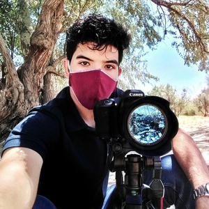 تصویر گالری